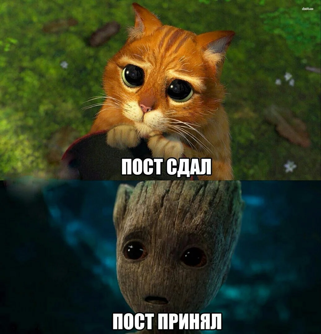 Смена картинки прикольные