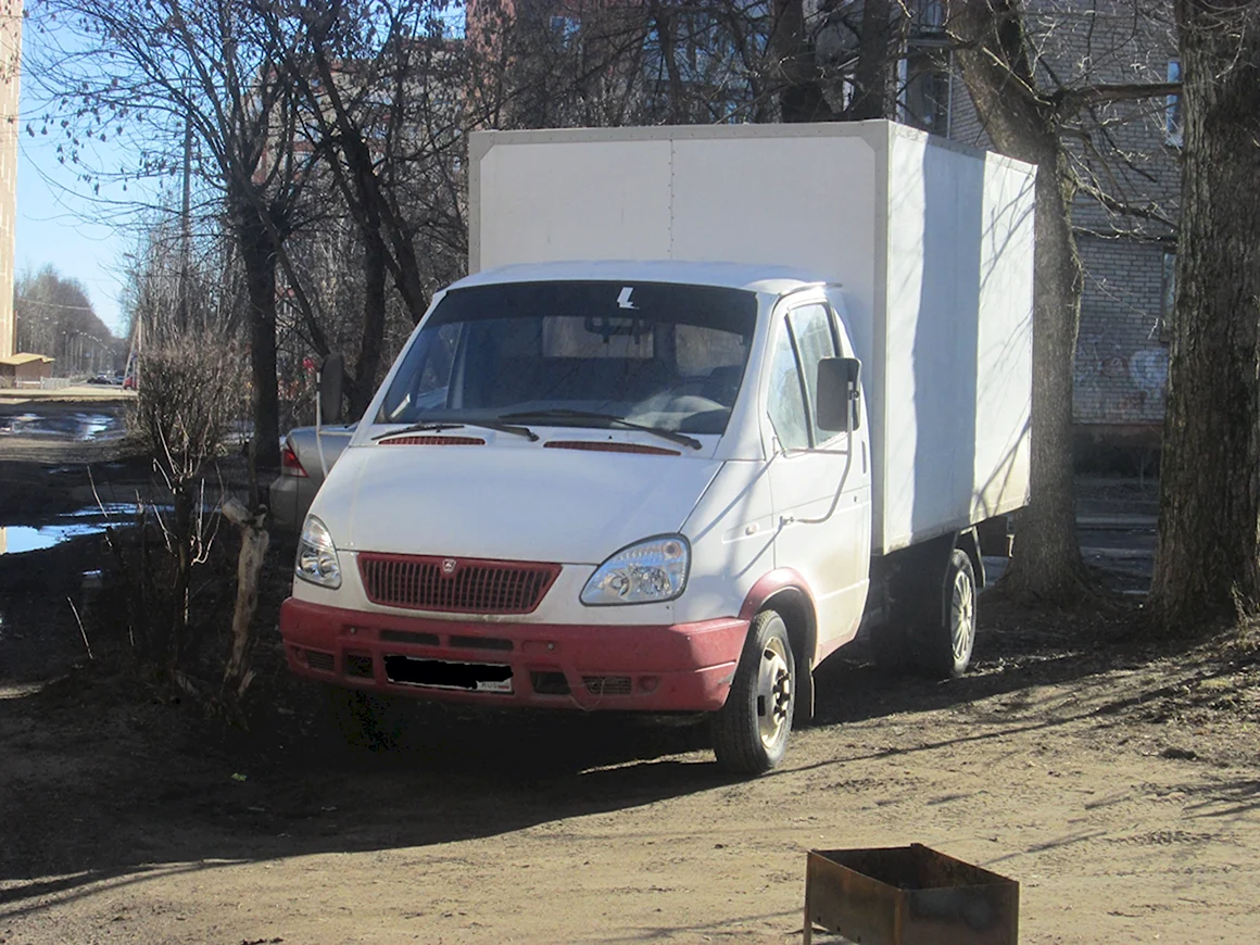 Смешная Газель