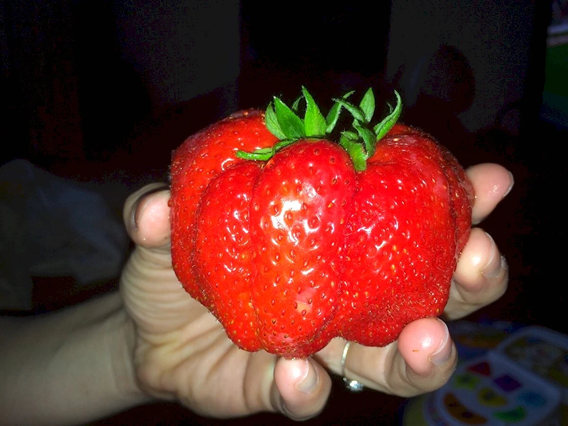 Смешная клубника