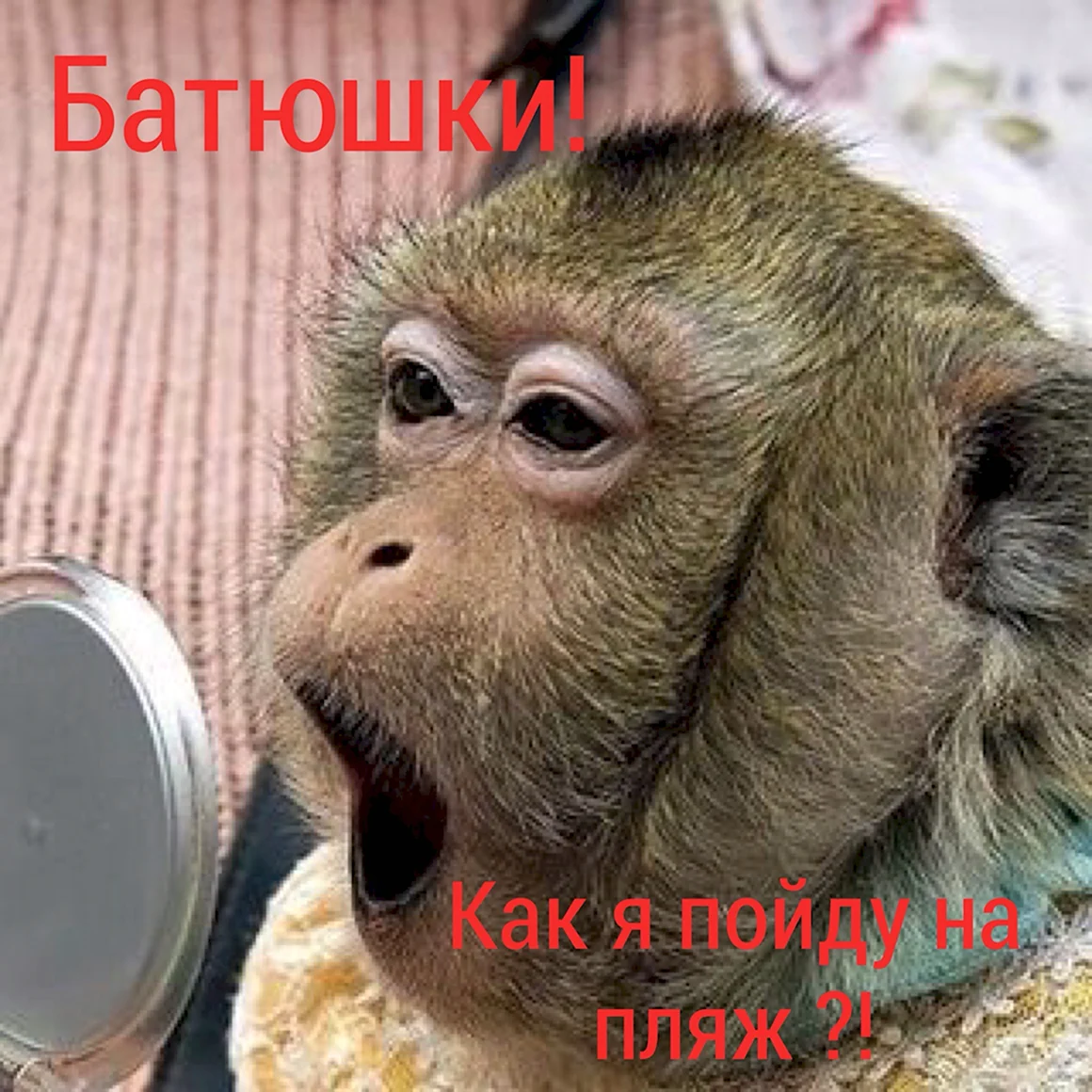 Смешная красота