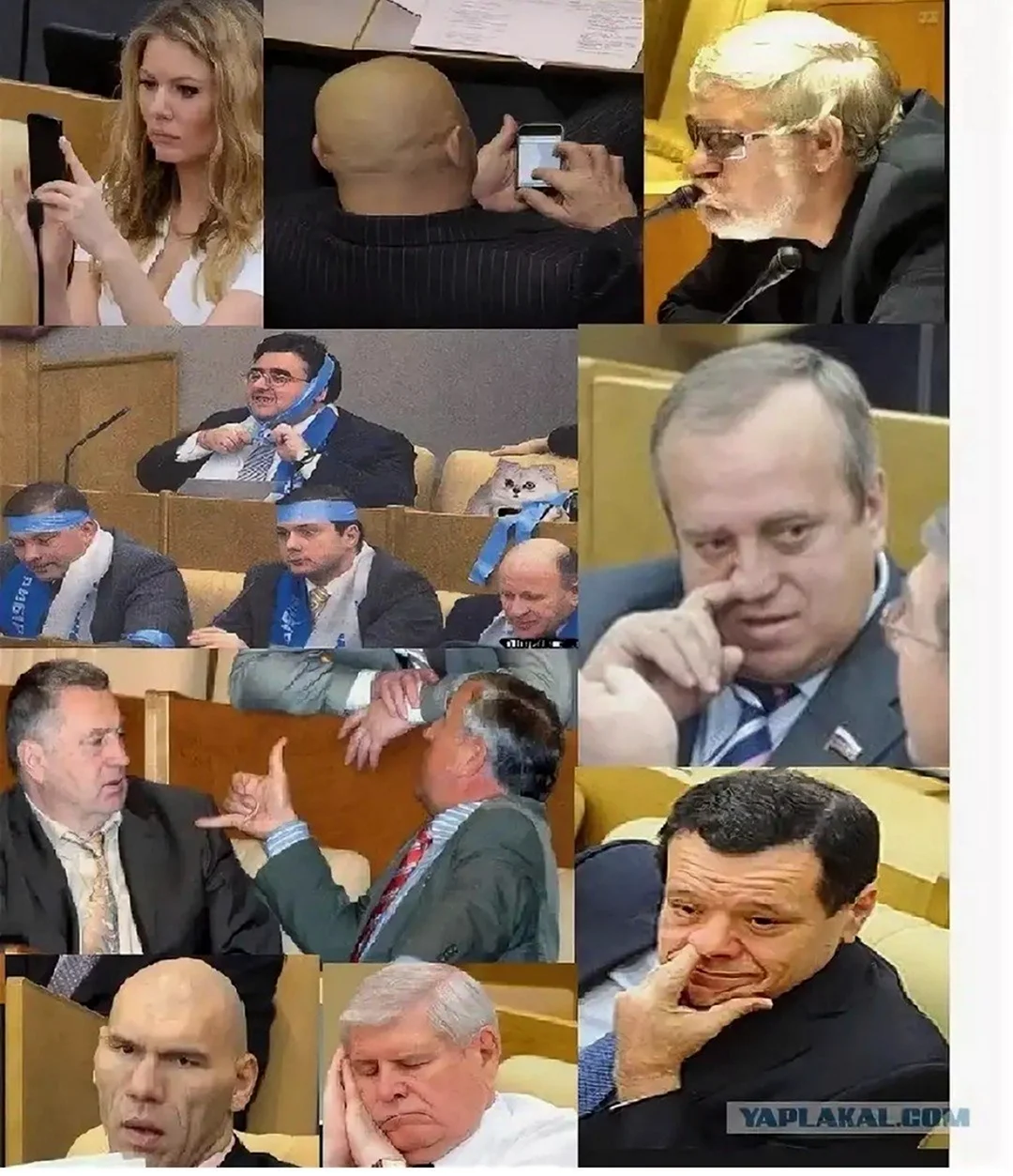 Смешные депутаты Госдумы