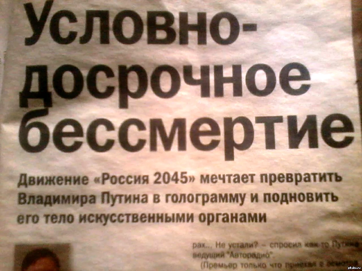 Смешные газетные заголовки