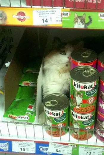 Смешные картинки про магазин