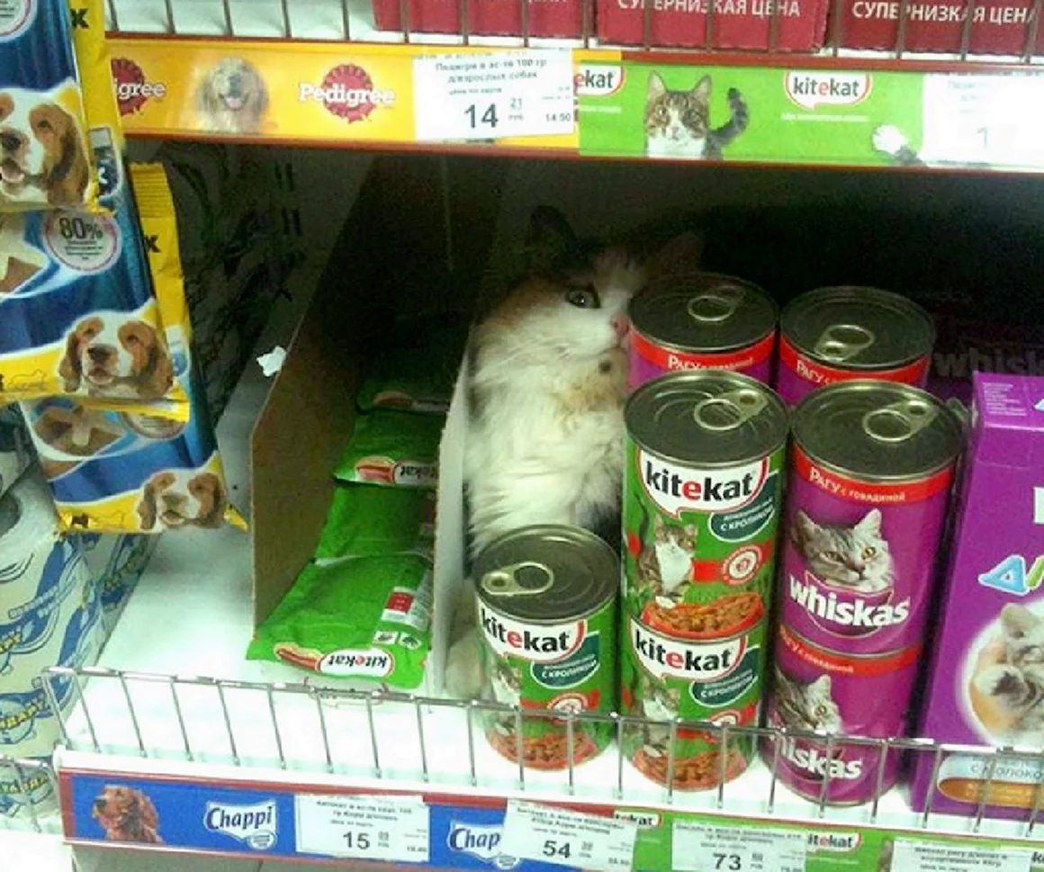 Смешные картинки про магазин