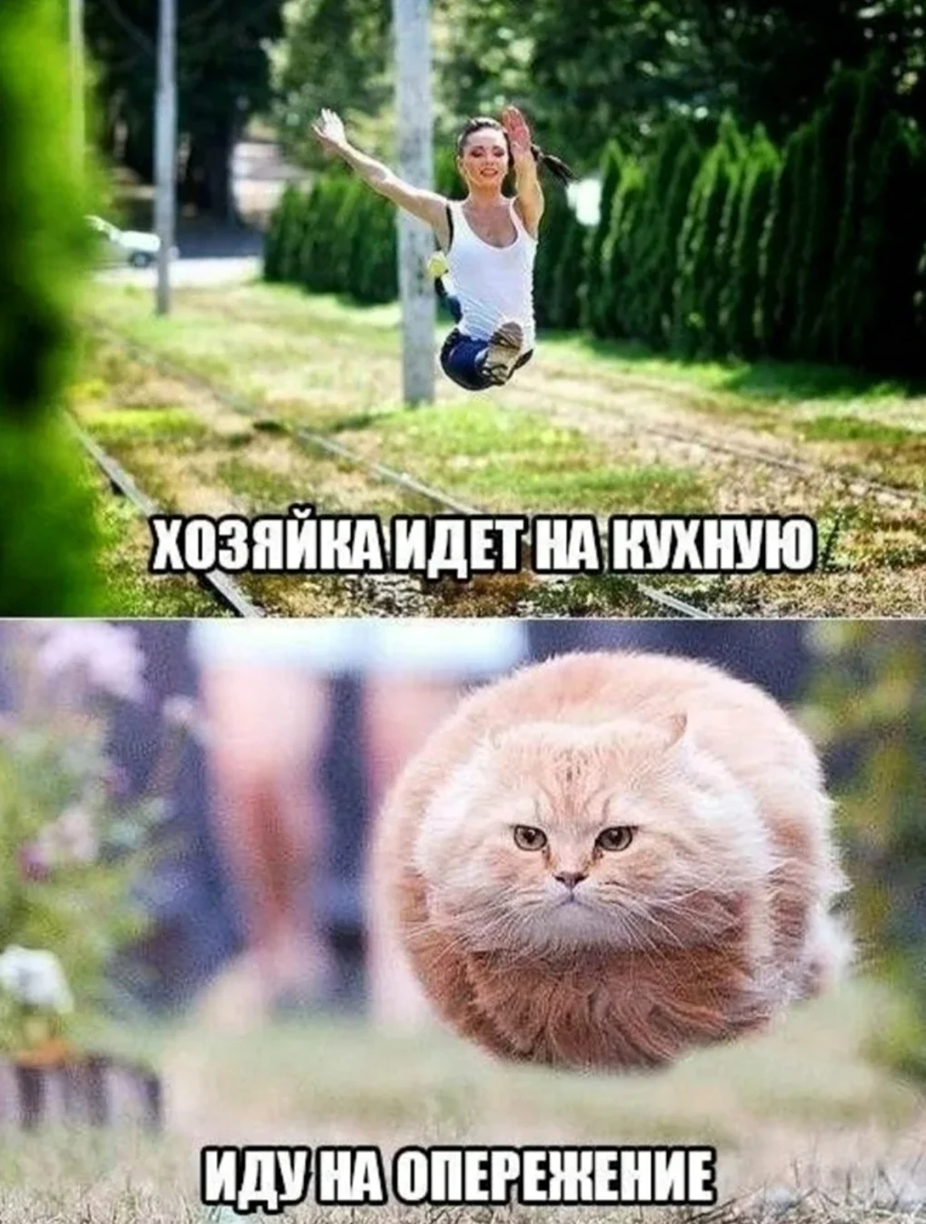 Смешные картинки с надписями