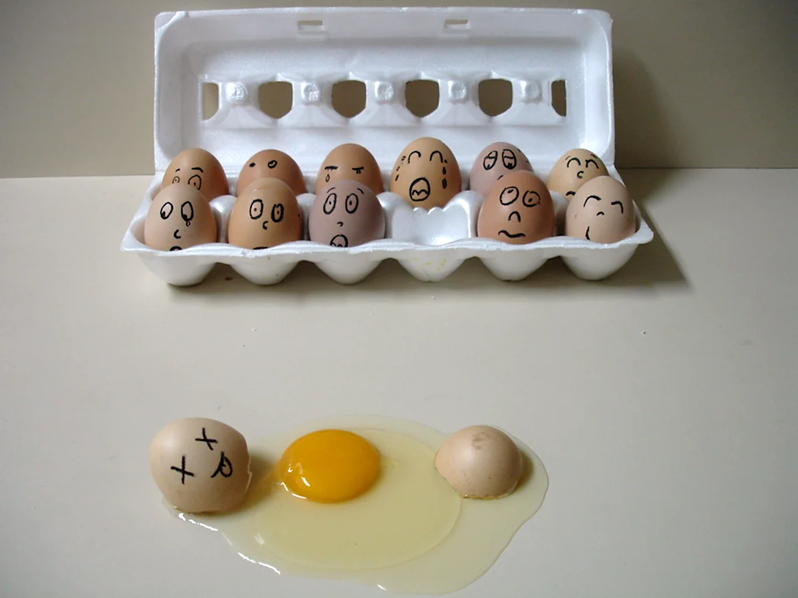 Смешные куриные яйца