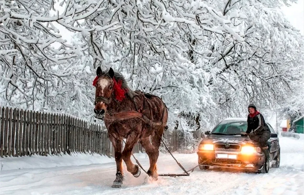 Смешные машины зимой