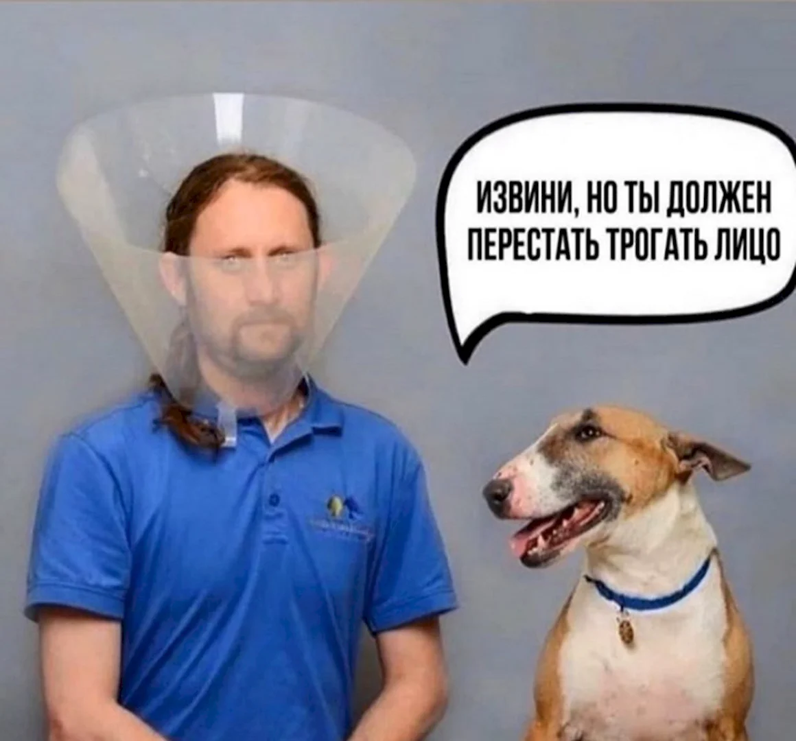 Смешные мемы 2020 про коронавирус