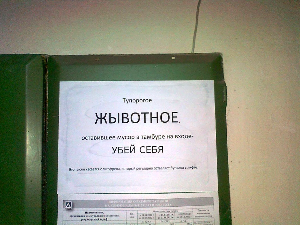 Смешные объявления в подъездах
