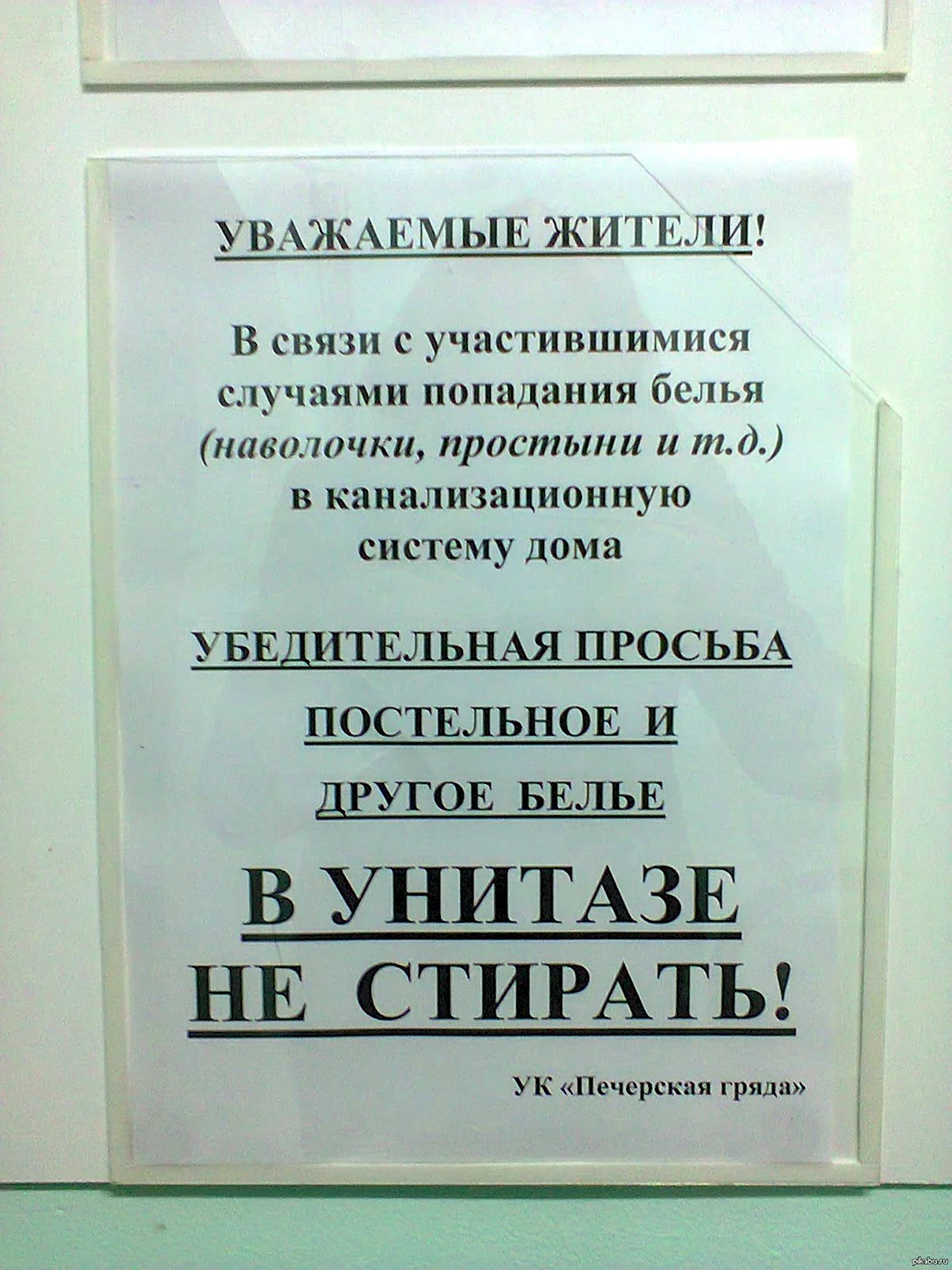 Смешные объявления в подъездах