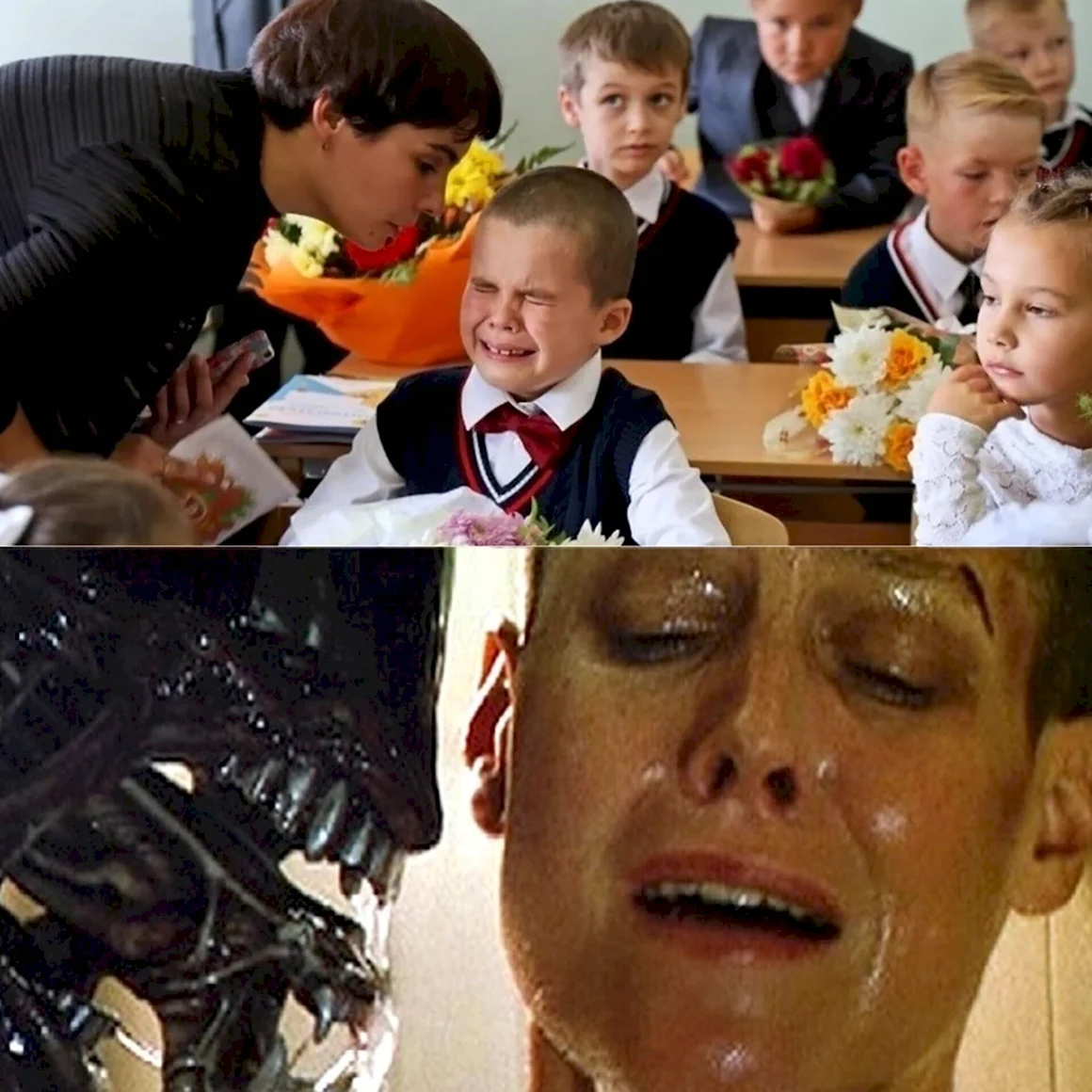 Смешные школьники