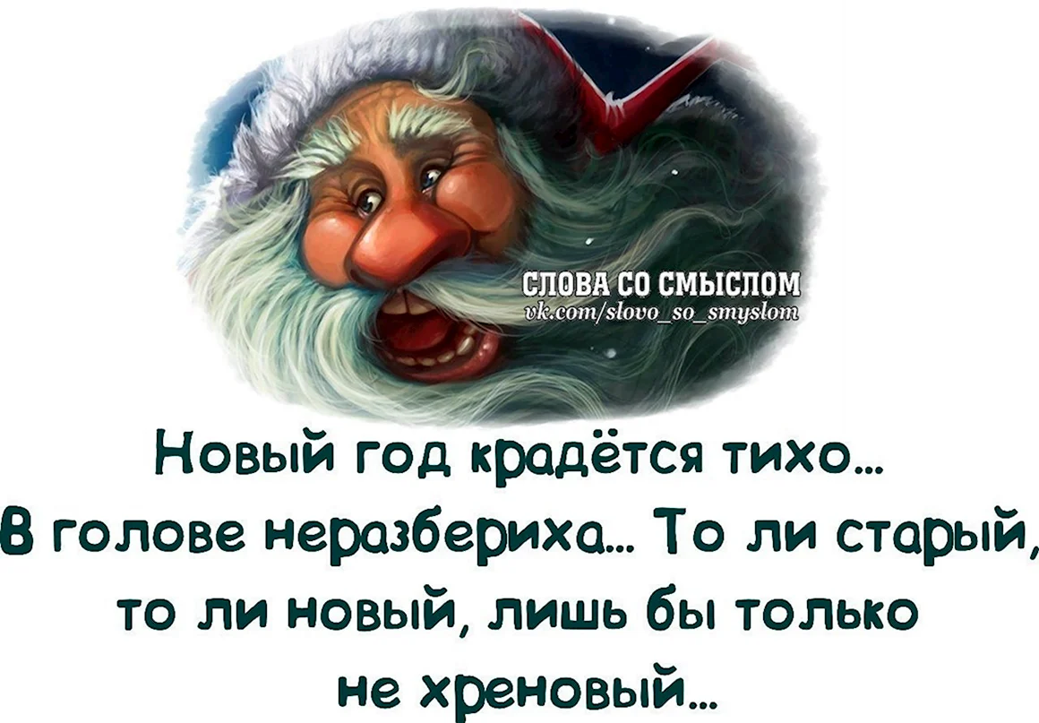 Смешные цитаты про новый год