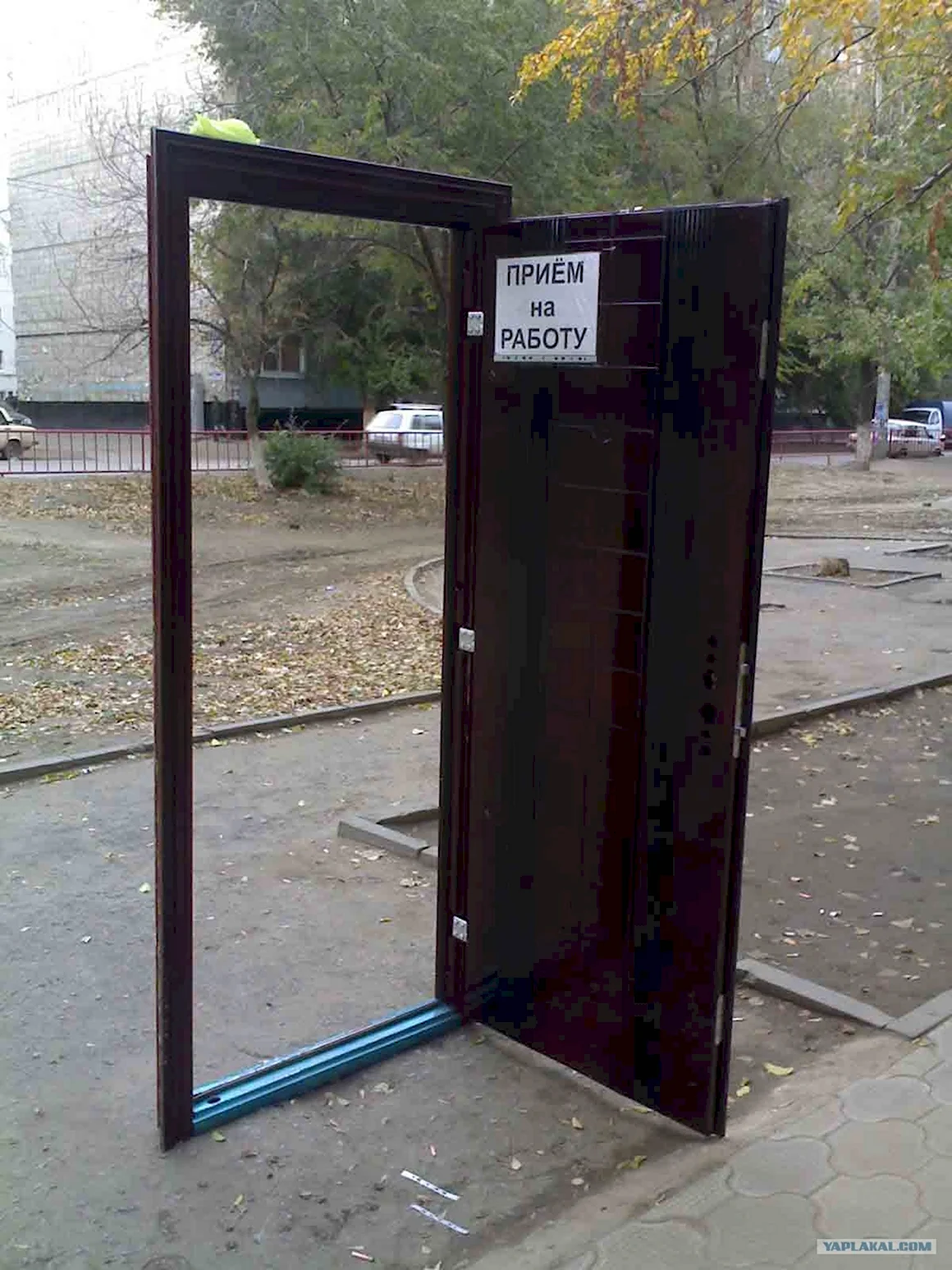 Смешные входные двери
