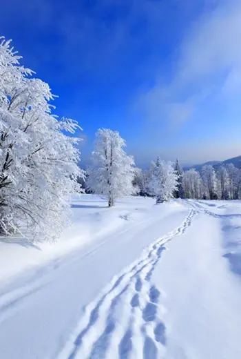 Снег