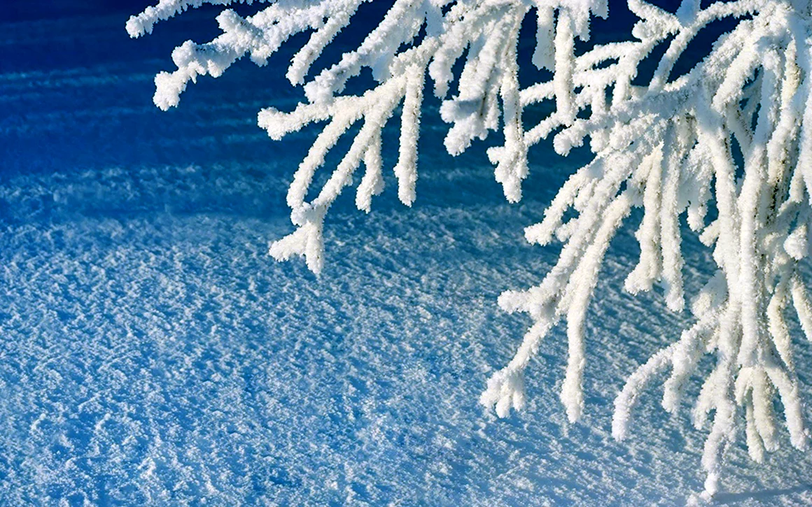 Снег