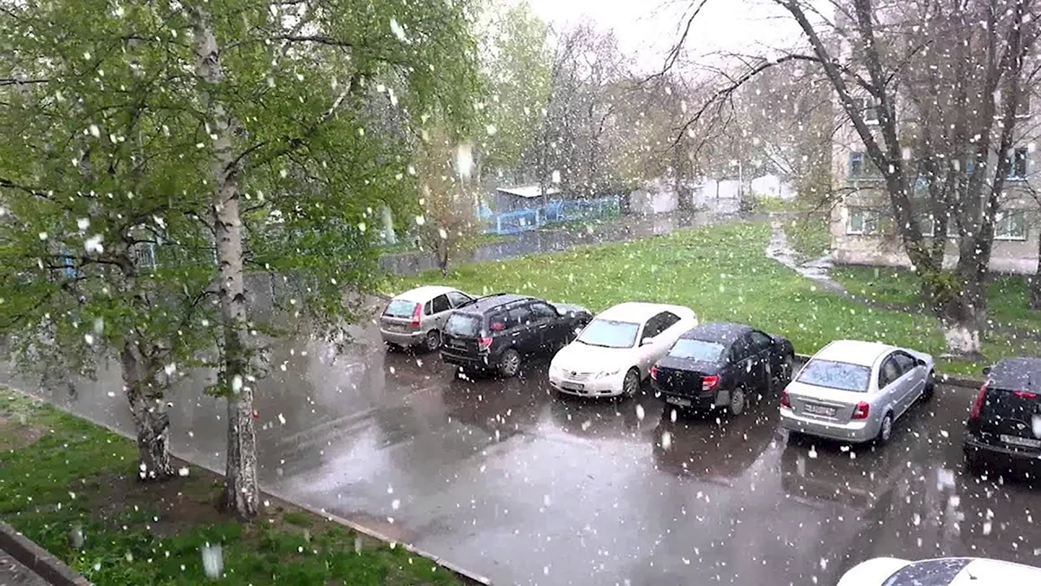 Снег летом