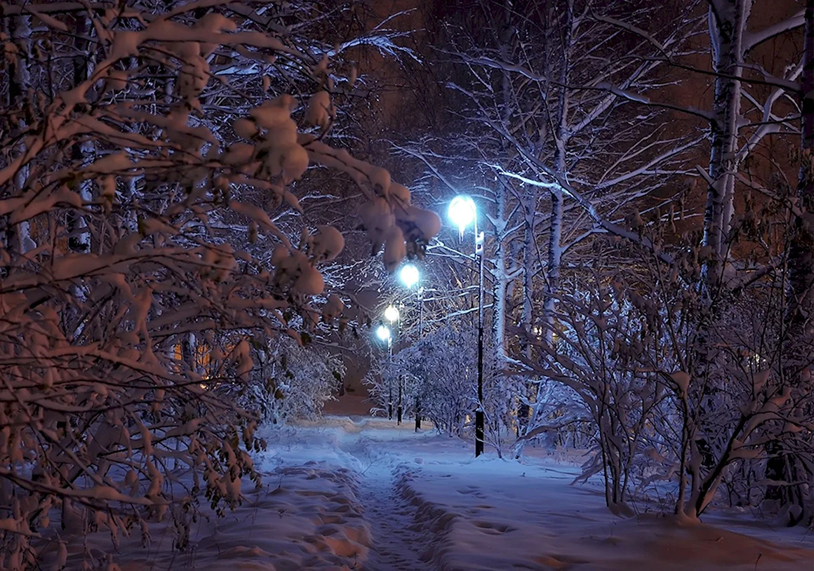 Снег вечером