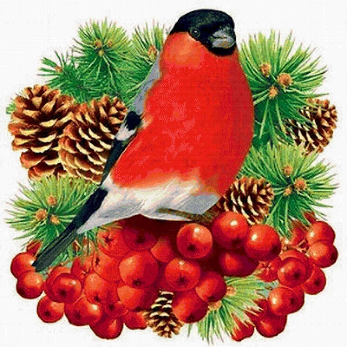 Снегирь на еловой ветке