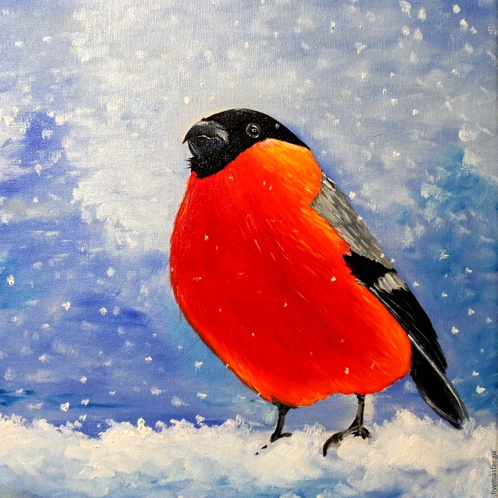Снегирь рисунок