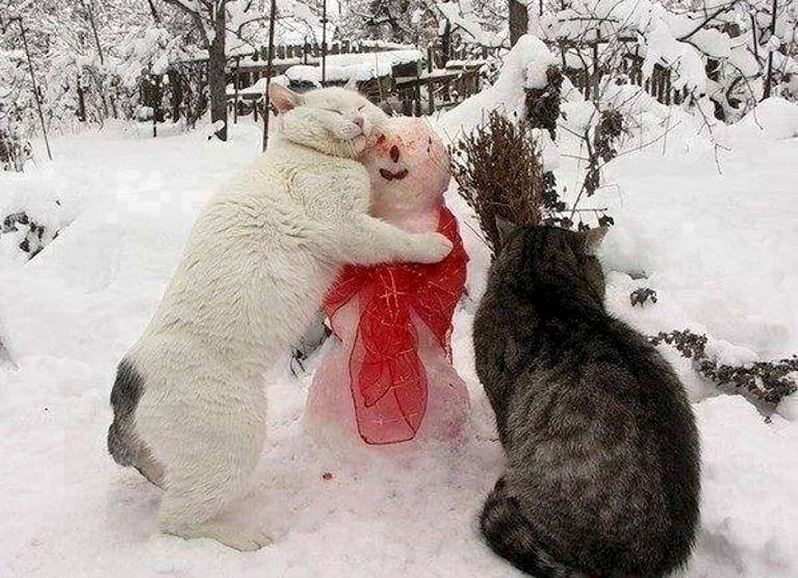Снеговик и животные