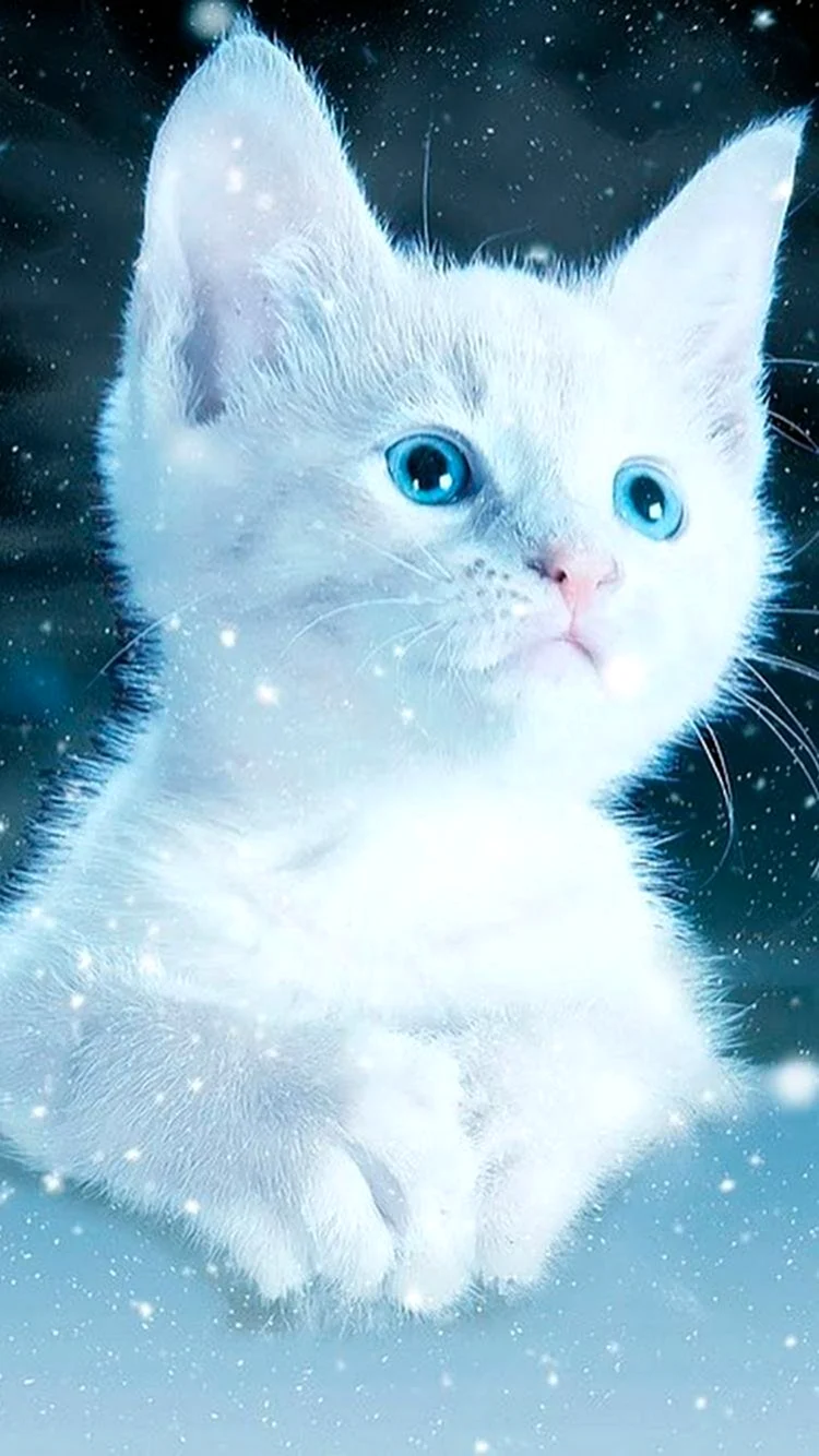 Снежная кошка
