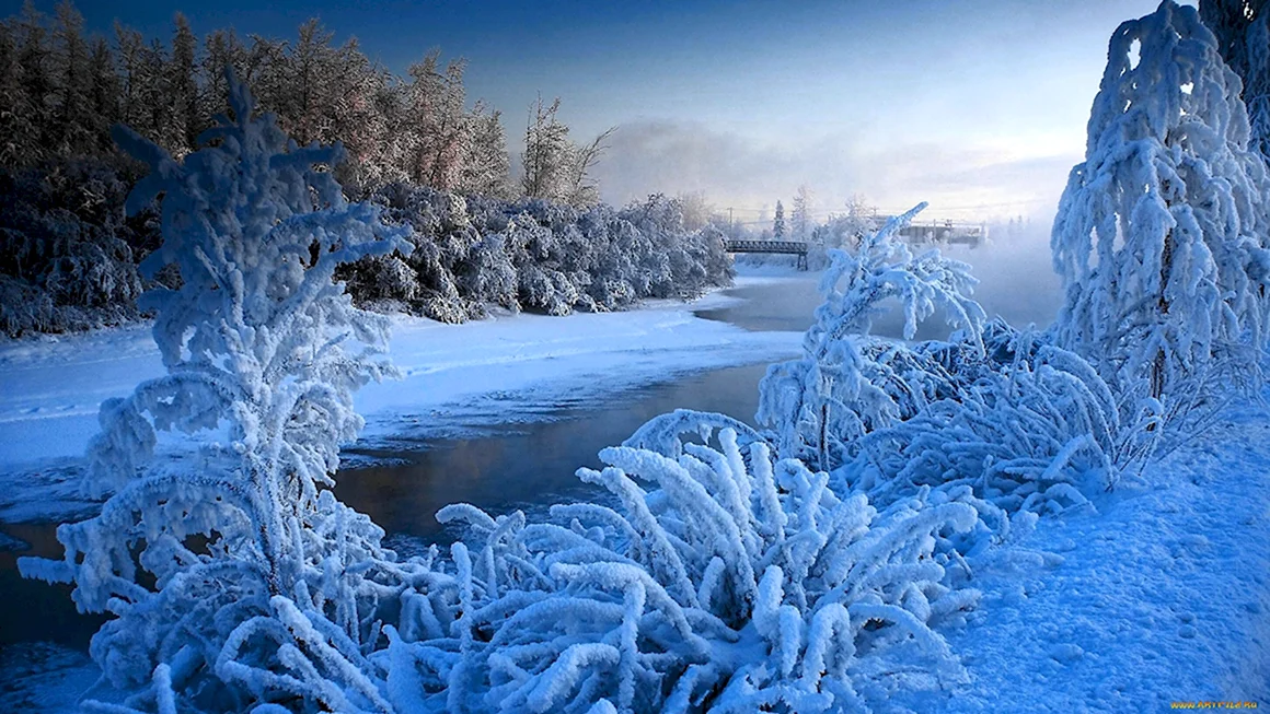 Снежная красота зимы