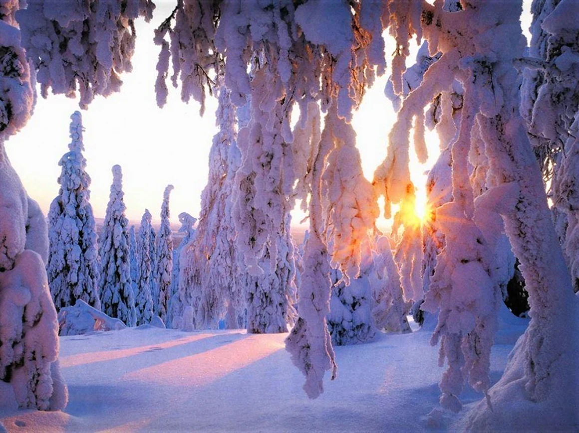 Снежная красота зимы