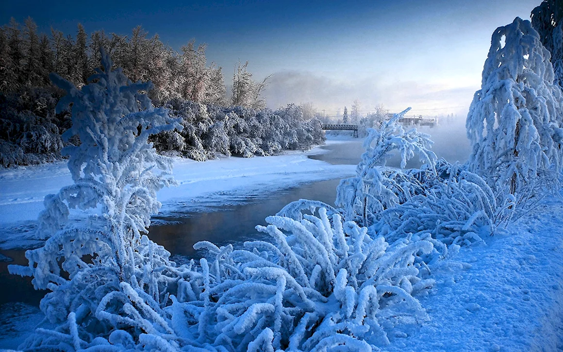 Снежная красота зимы