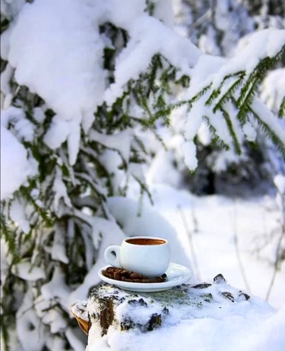 Снежное утро