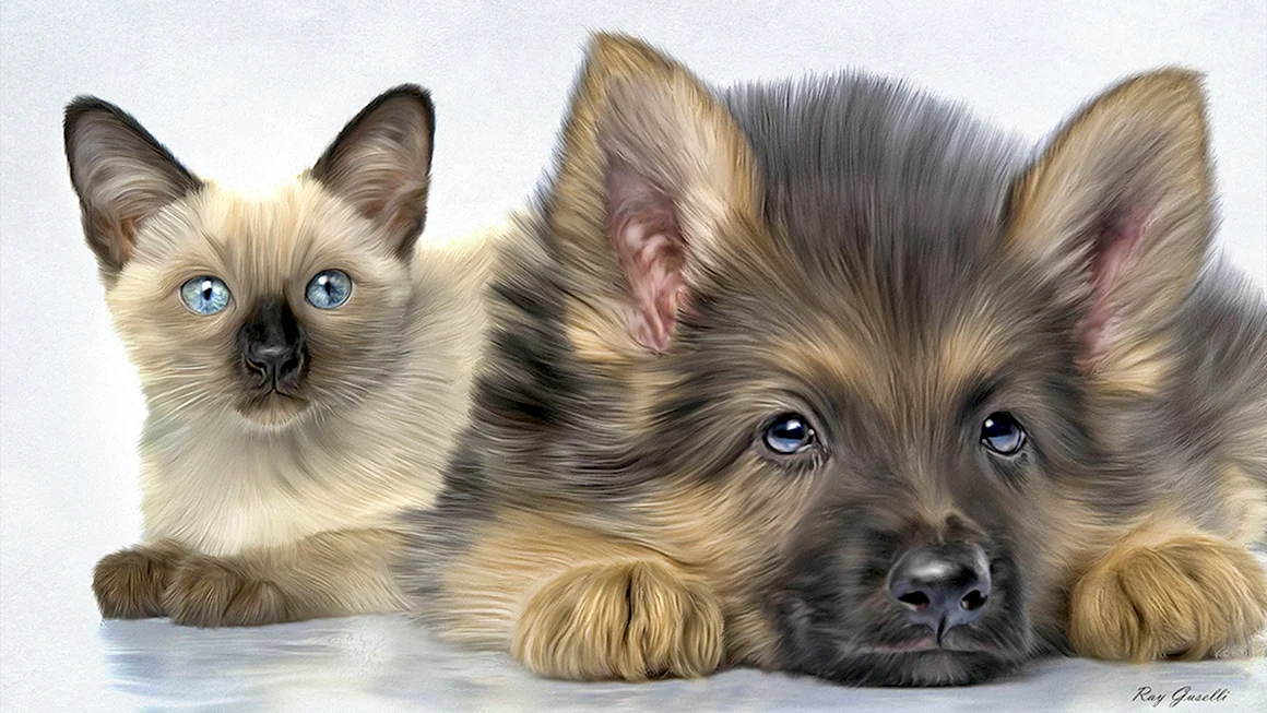 Собачки и кошечки