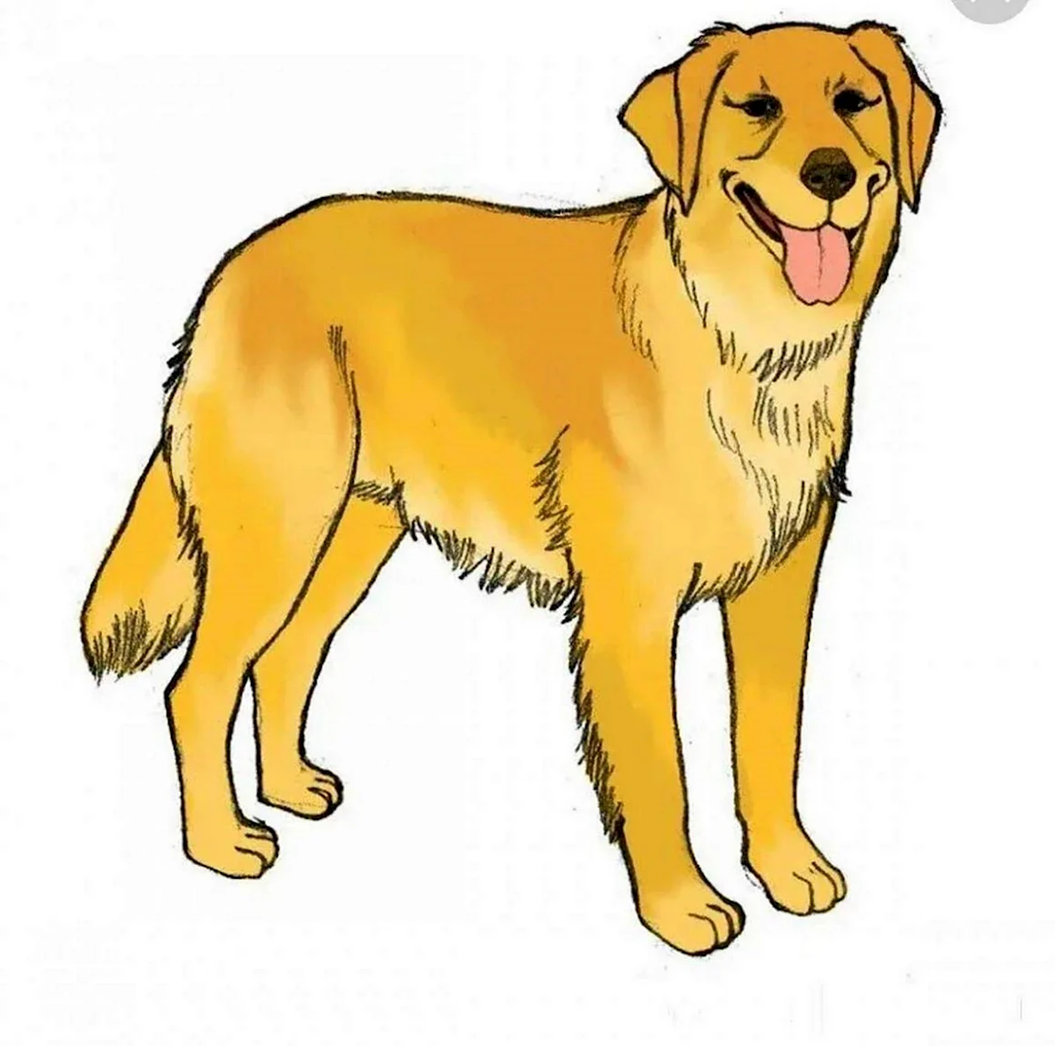 Собака для детей