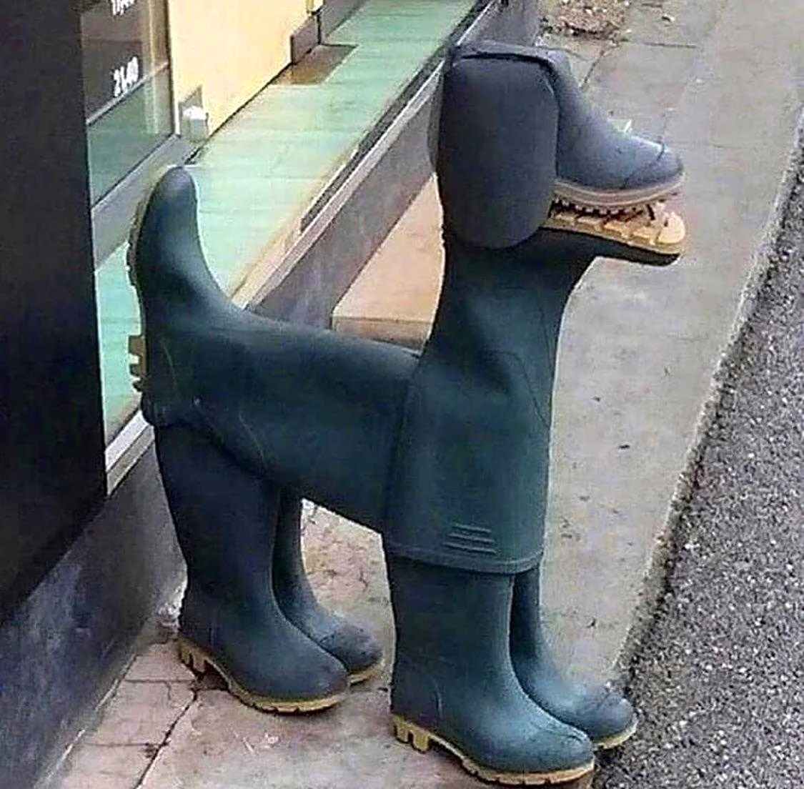 Собака из резиновых сапог