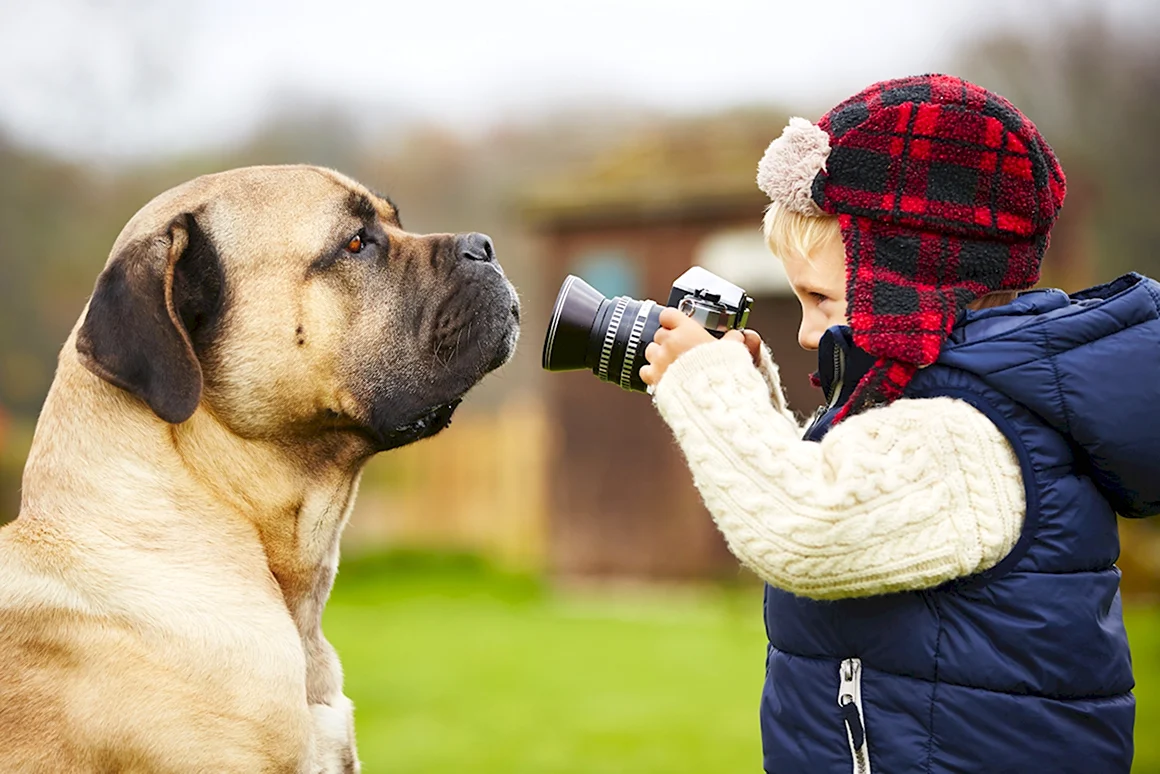 Собака с фотоаппаратом