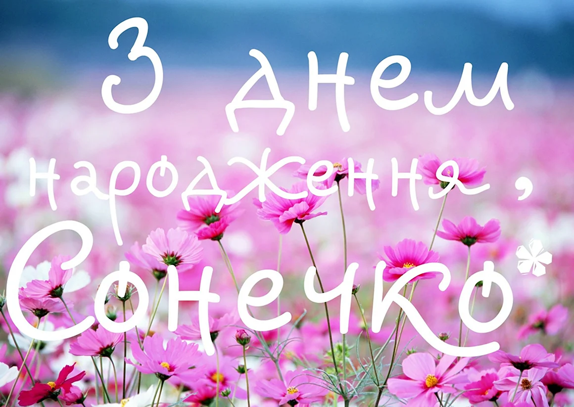 Софія з днем народження