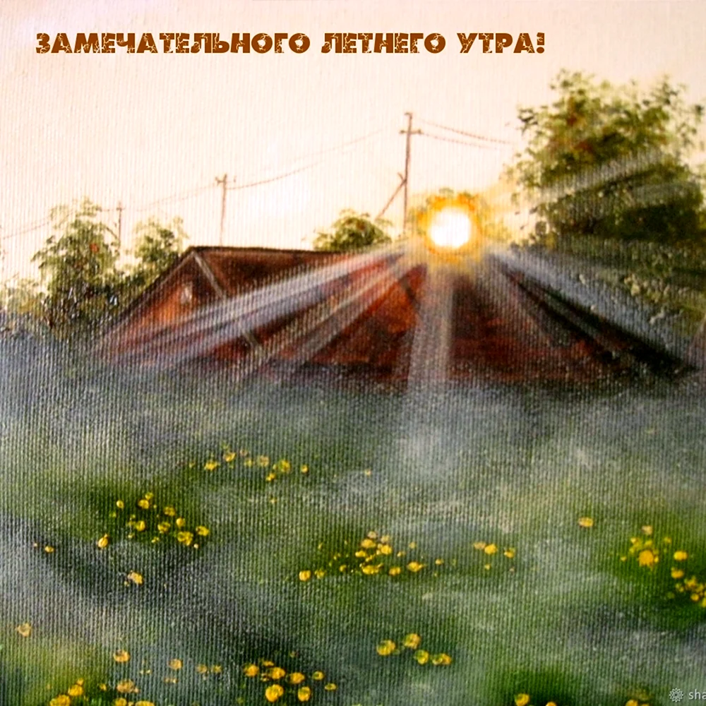 Солнечное утро в деревне