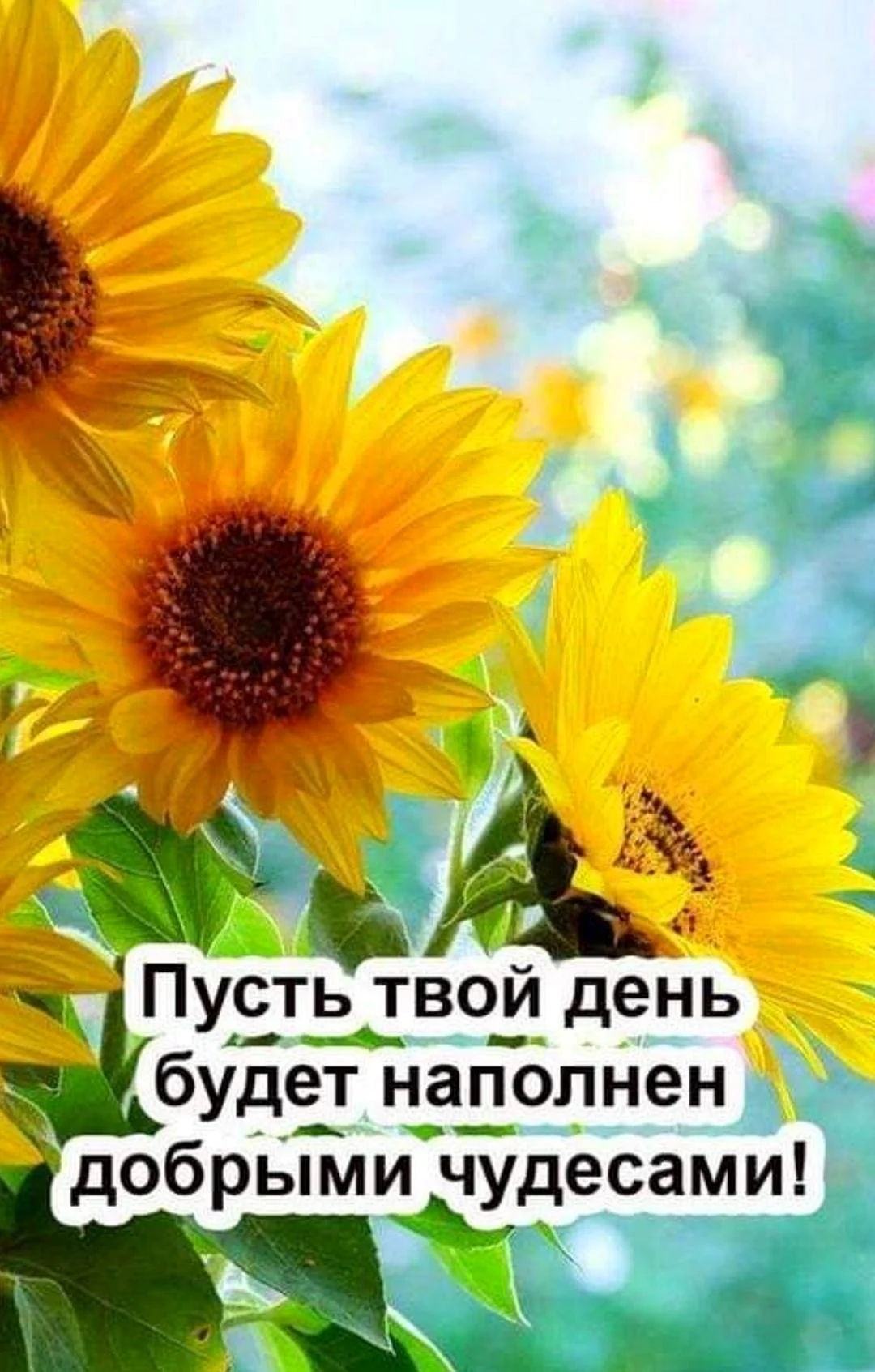 Солнечного настроения
