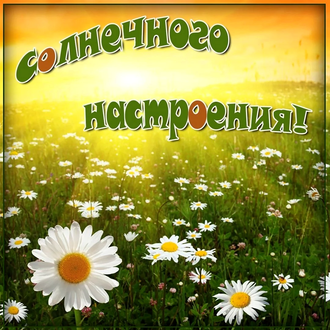 Солнечного настроения