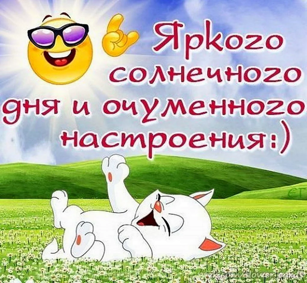 Солнечного настроения и удачного дня