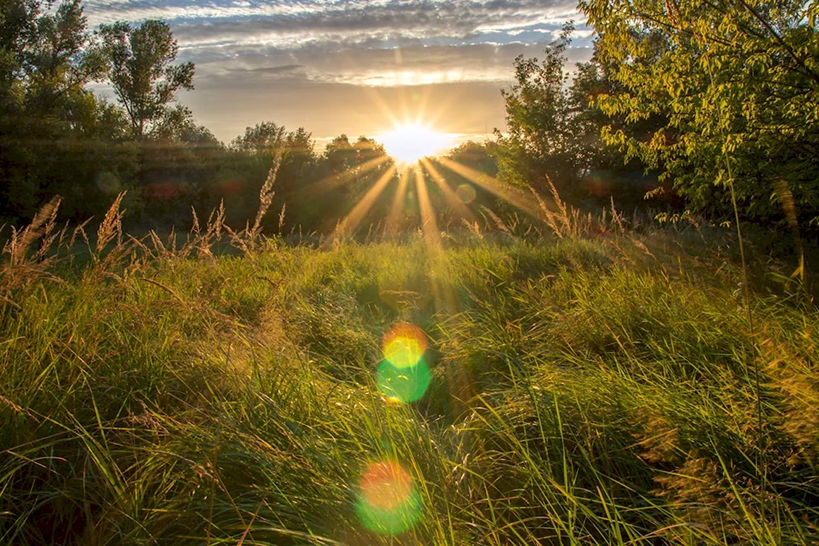Солнечные лучи