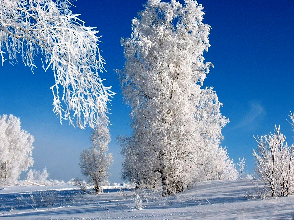 Солнечный зимний день