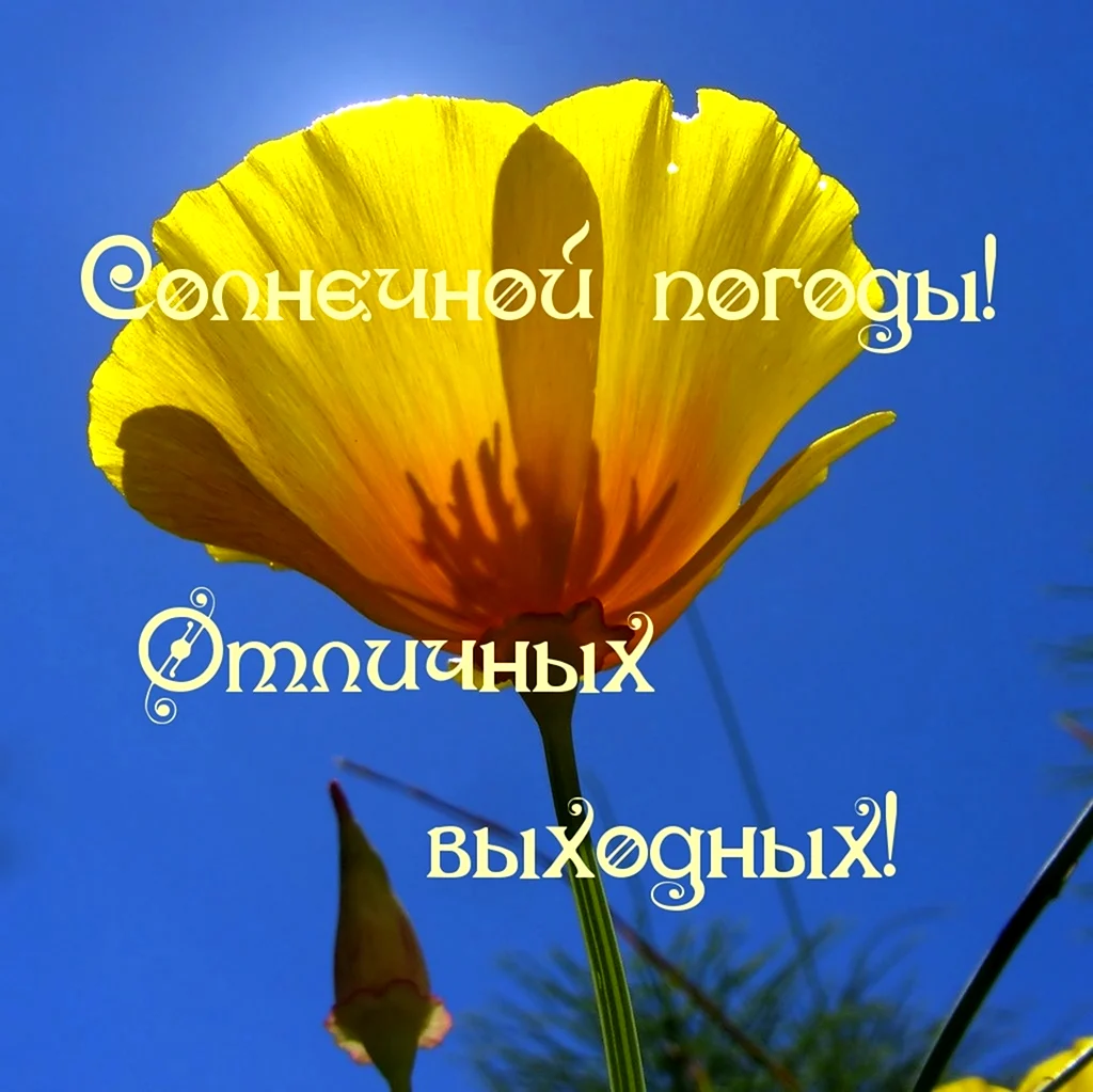 Солнечных выходных и отличного настроения