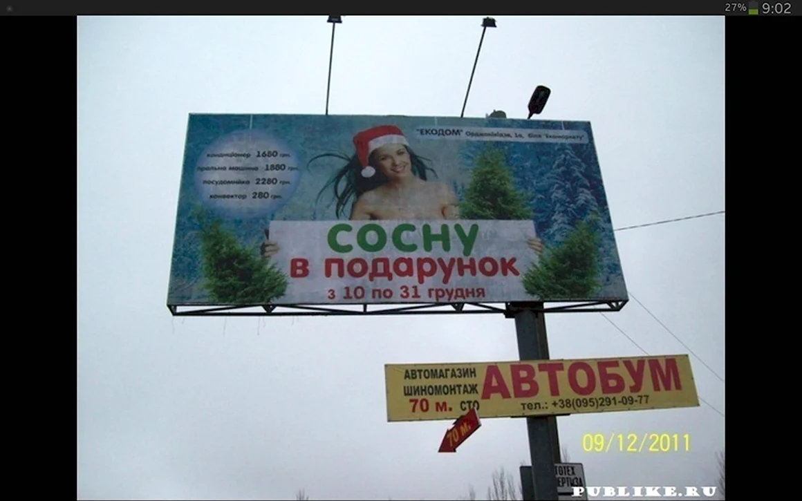 Сосну в подарок реклама