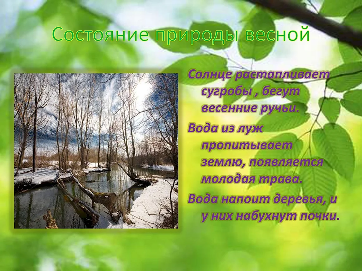 Состояние природы весной
