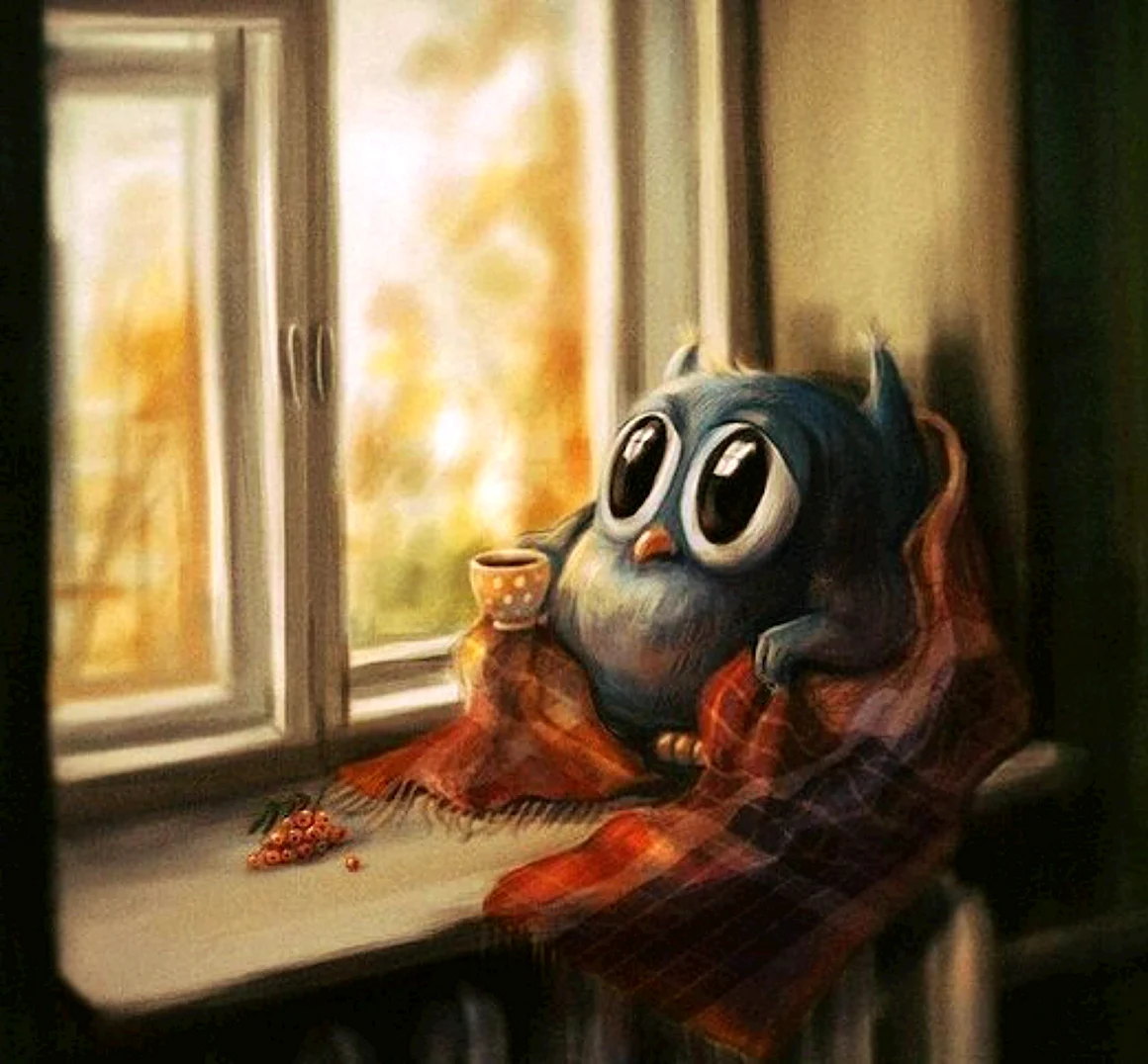 Сова скучает по любимому