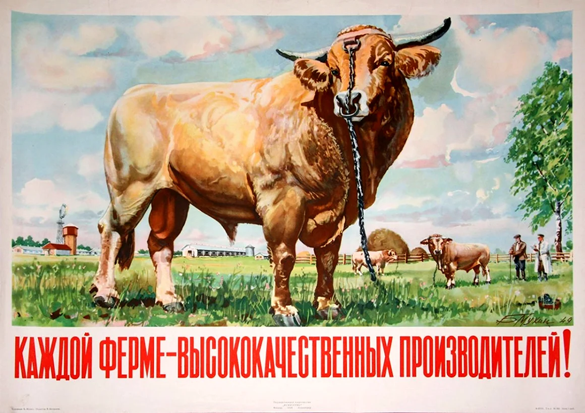 Советские коровы