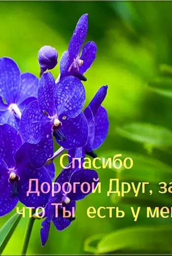 Спасибо дорогой друг