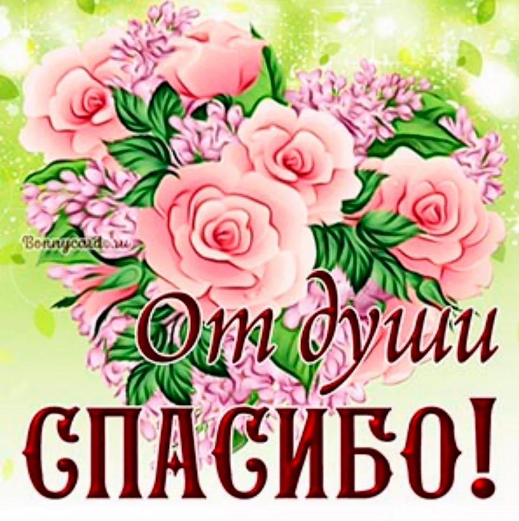 Спасибо от души
