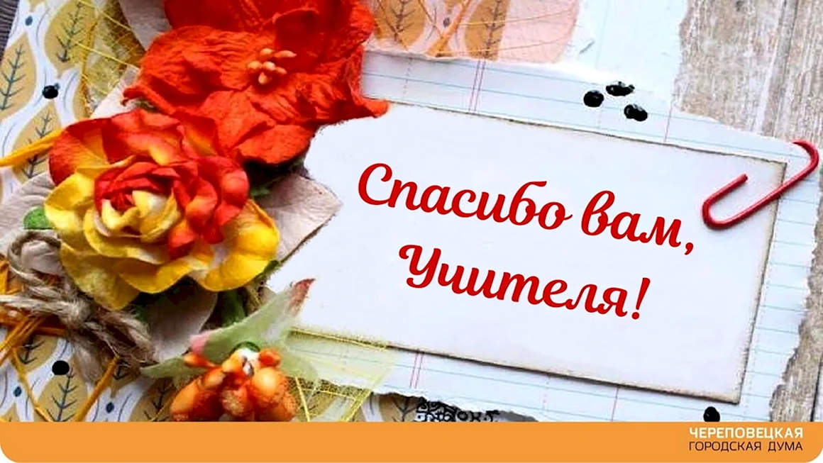 Спасибо учителю