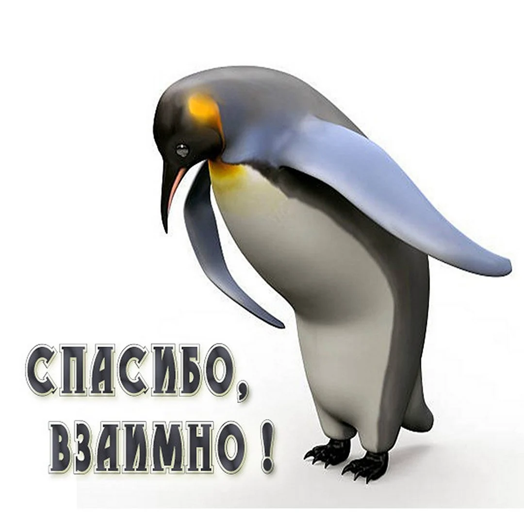 Спасибо взаимно