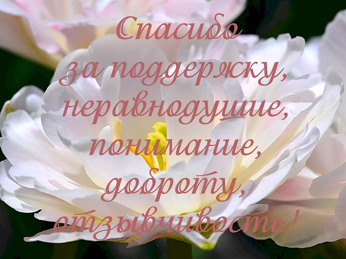 Спасибо за поддержку